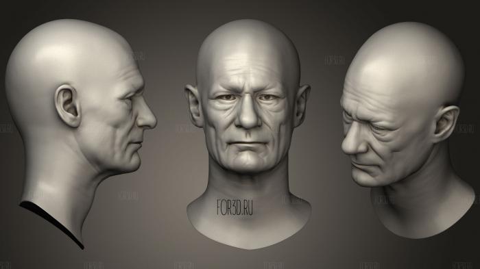 Скульптура мужской головы 03 3d stl модель для ЧПУ